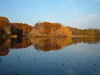 Foliage and Institute Pond