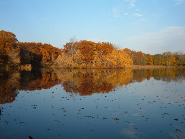 Foliage and Institute Pond