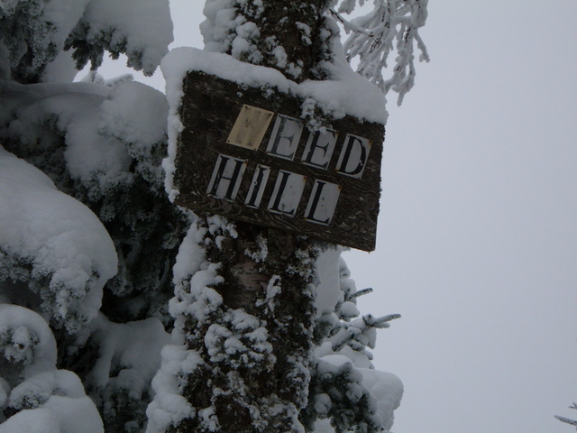 The Tweed Hill sign on Antelope